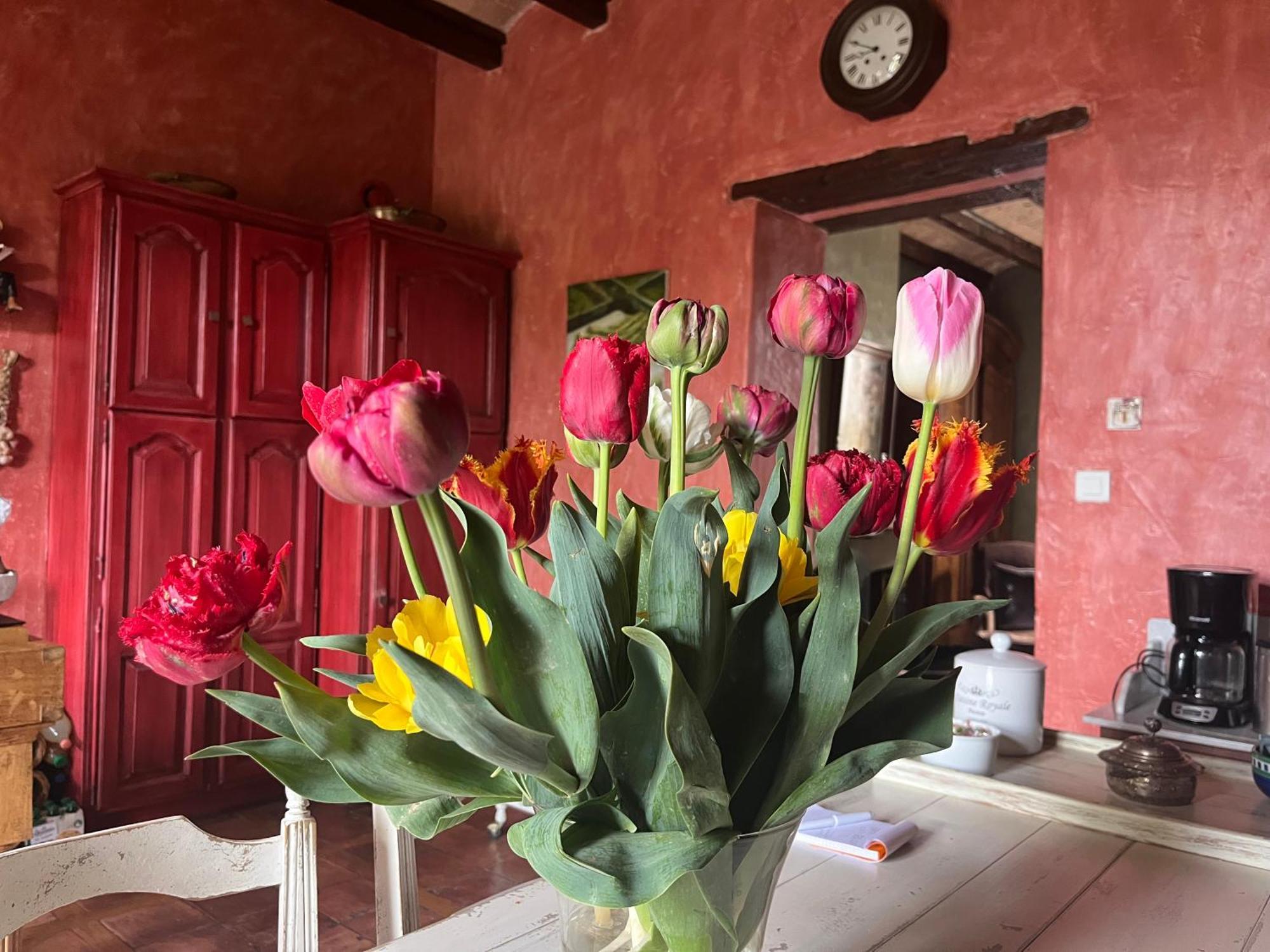 Maison En Provence Lapalud Dış mekan fotoğraf
